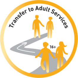 T-Cash-Transfer-to-adult-264x264